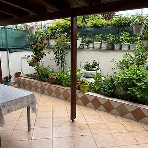 Goni Guest House